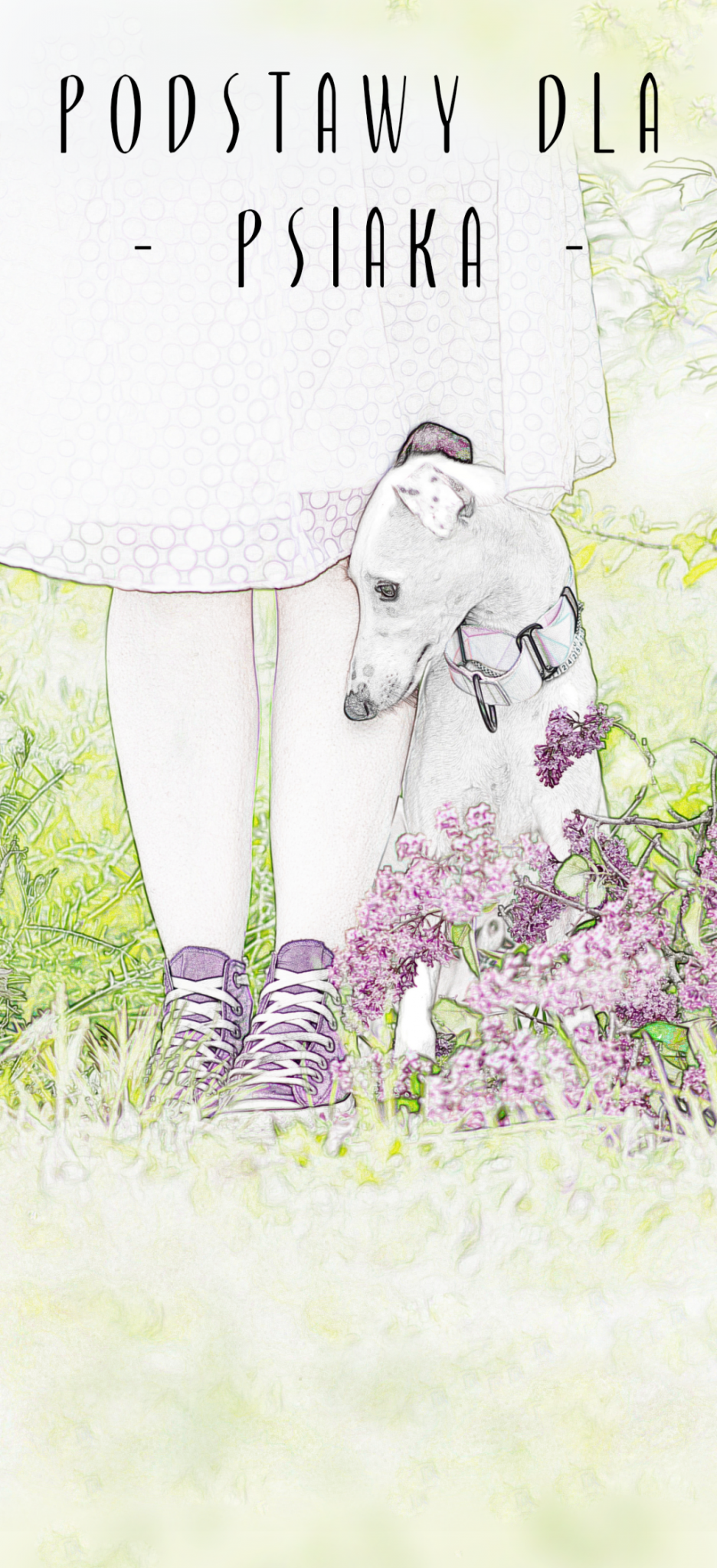 Szczeniaczek uczący się podstawowych komend.