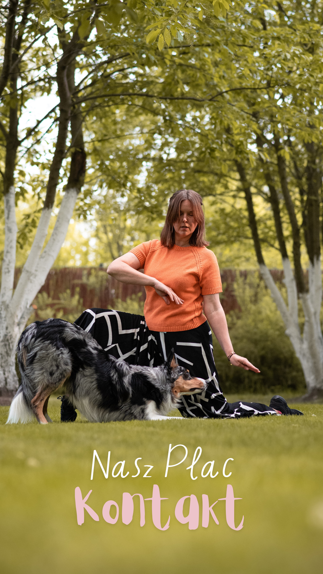 Link do formularza kontaktowego aby zapisać się na zajęcia z dog dancing. na zdjęciu instruktor z psem border colie w pozycji ukłon.