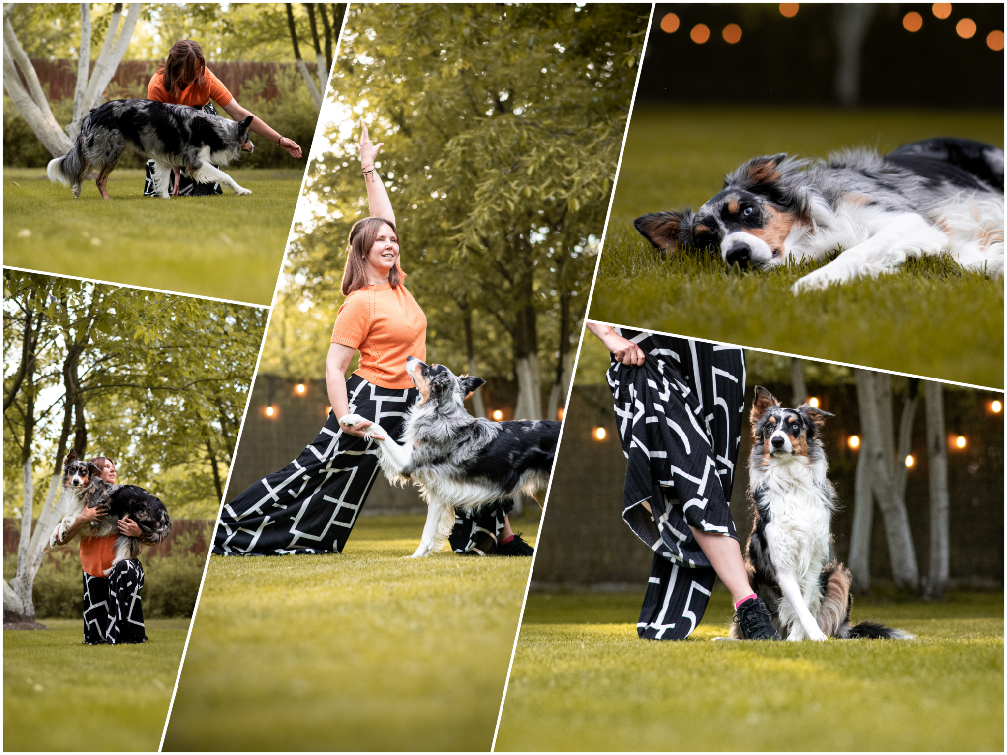 Kolaż zdjęć pokazujących warsztaty sztuczkowe pod dog dancing. Na zdjęciach instruktor dog dancing z sochaczewa z psem rasy border colie na placu treningowym w kozłowie biskupim